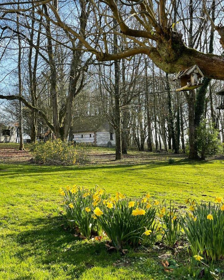 Domaine De Fresnoy Bed and Breakfast Loison-sur-Créquoise Exteriör bild