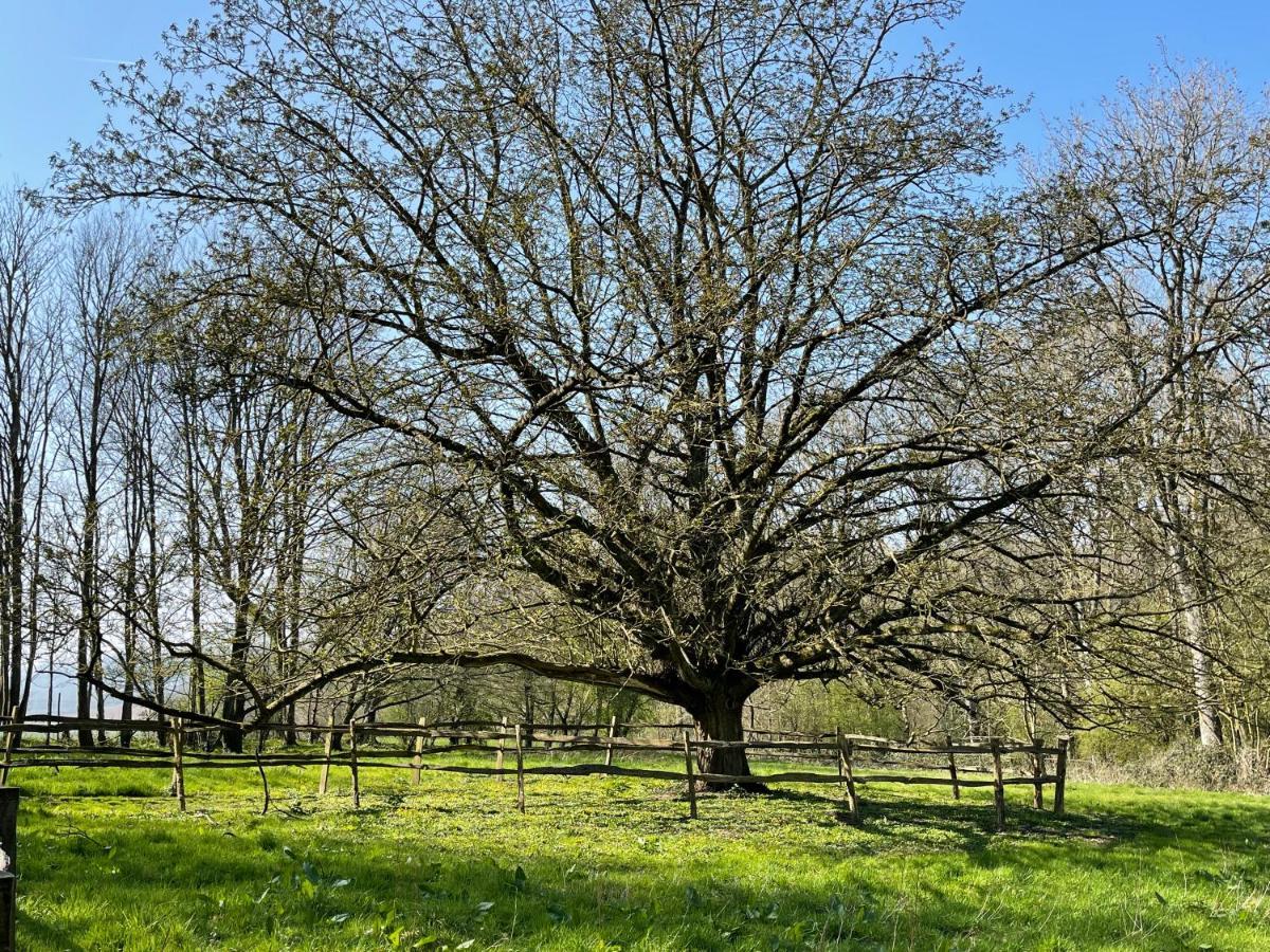 Domaine De Fresnoy Bed and Breakfast Loison-sur-Créquoise Exteriör bild