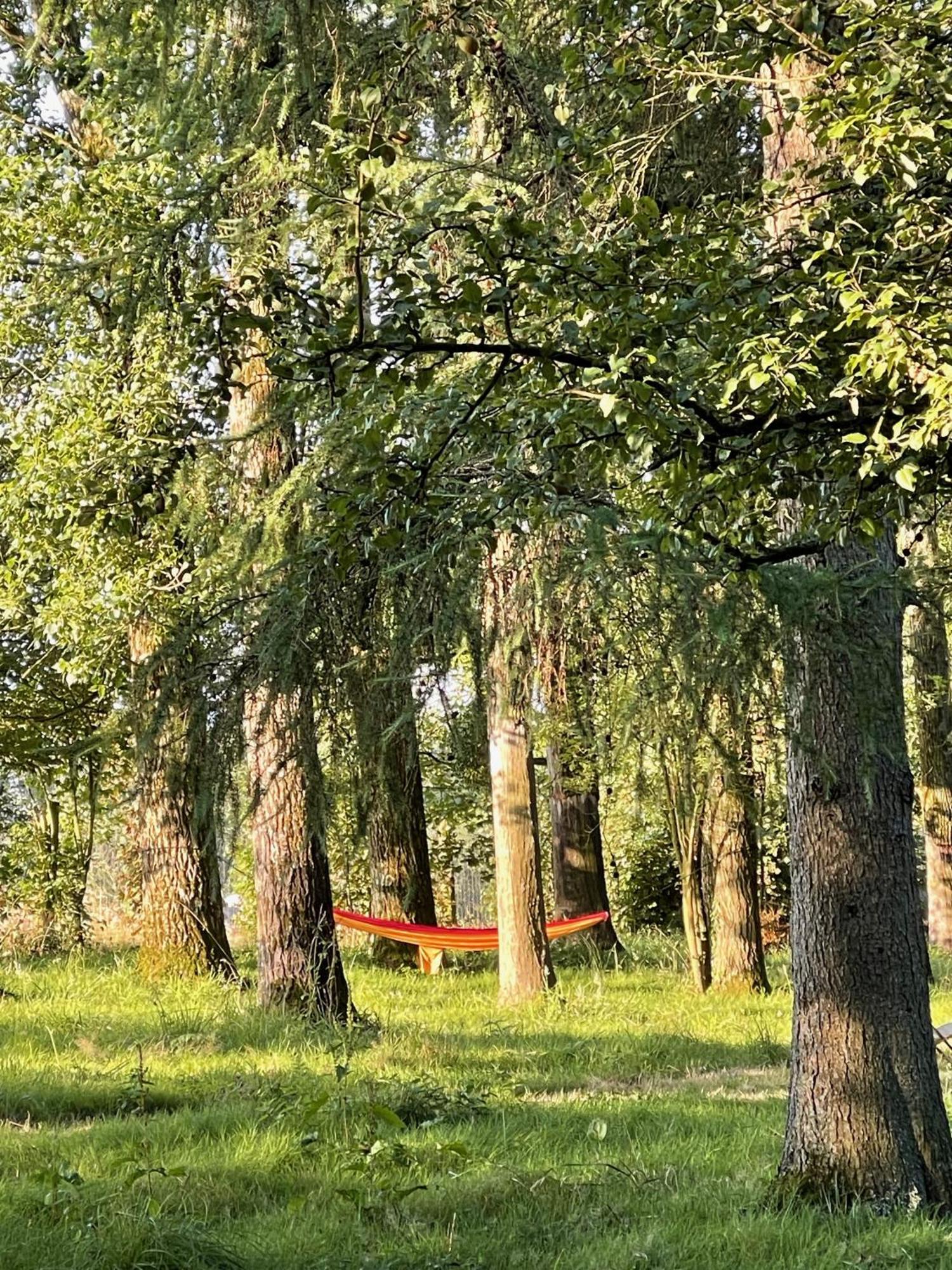 Domaine De Fresnoy Bed and Breakfast Loison-sur-Créquoise Exteriör bild